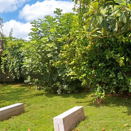 Tatil Evi Spacious House With Garden In - Family-friendly Touro